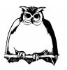 sitting_owl.jpg