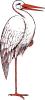 stork.jpg