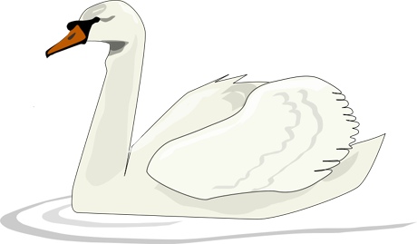 swimming_swan.jpg