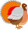 turkey.jpg