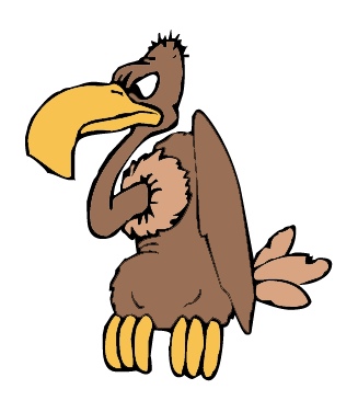 vulture.jpg