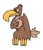vulture.jpg