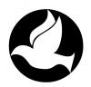 white_dove.jpg