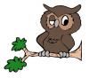 winking_owl.jpg