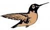 woodpecker.jpg