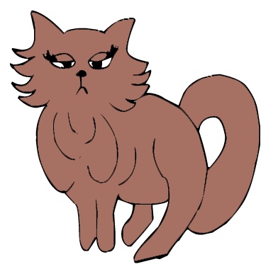 brown_cat.jpg