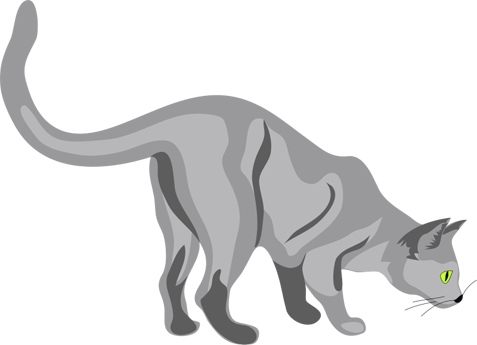 cat_crouching.jpg