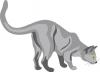 cat_crouching.jpg