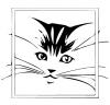 cat_in_border.jpg