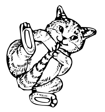 cute_playful.jpg