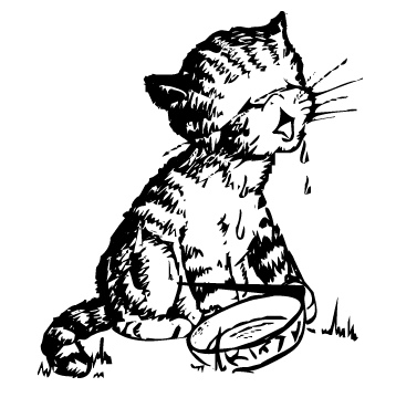 drinking_water.jpg