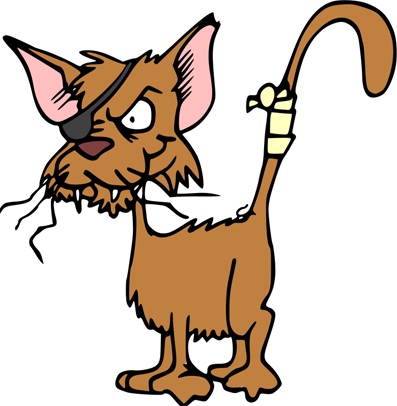 fighting_cat.jpg