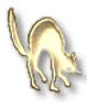 cat-clipart38.gif 3.5K