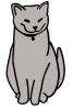 grey_siamese.jpg