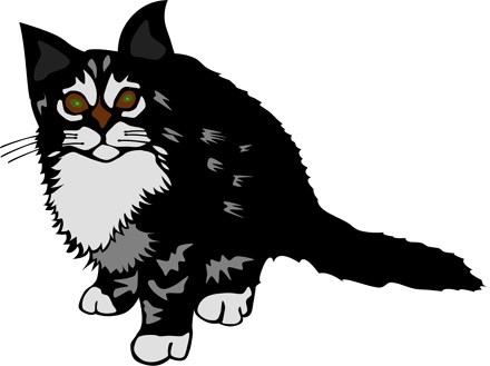 kitten_black.jpg