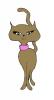 pretty_girl_cat.jpg