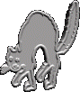 silver-cat-clipart10.gif 4.5K