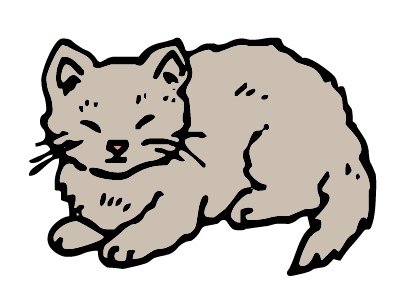 small_cat.jpg