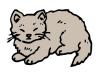 small_cat.jpg