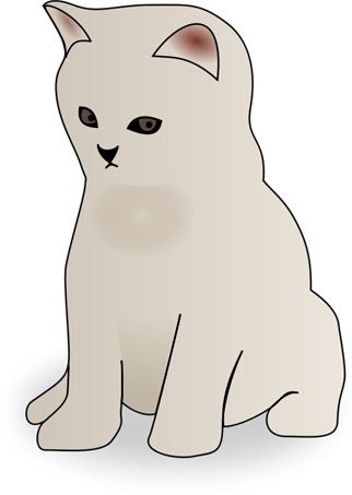 small_kitten.jpg