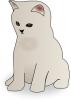 small_kitten.jpg