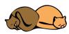 two_cats_sleeping.jpg