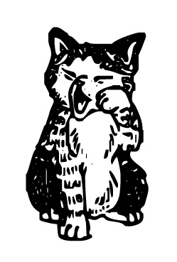yawning.jpg