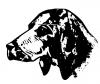 basset_bw.jpg