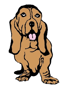 basset_hound.jpg