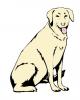 breed_dog.jpg