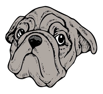 british_bulldog.jpg