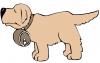 brown_st_bernard.jpg