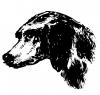 bw_canine.jpg