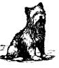 bw_terrier.jpg