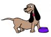 dachshund.jpg