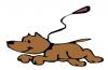 off_leash.jpg