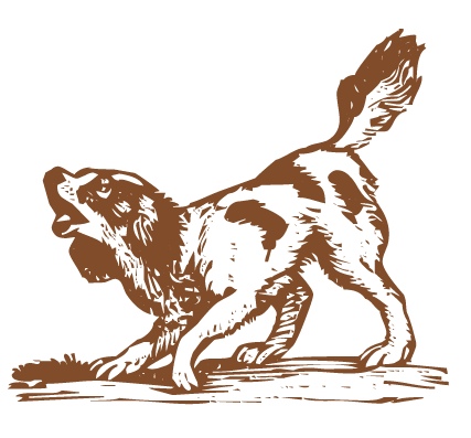 playing_canine.jpg