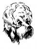 poodle.jpg