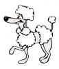 prancing_poodle.jpg