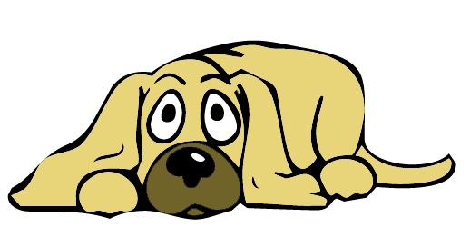 puppy_eyes.jpg