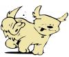 scratching_fleas.jpg
