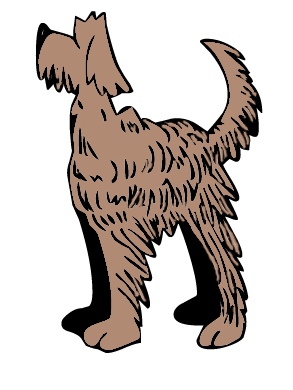 shaggy_dog.jpg
