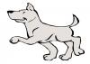 trotting_canine.jpg