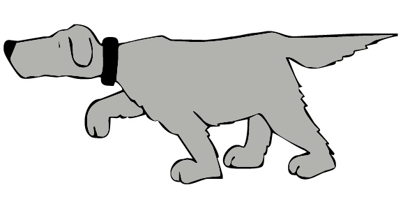 walking_dog.jpg