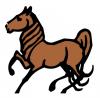 brown_horse.jpg