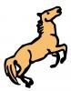 bucking_horse.jpg