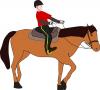 equestrian.jpg