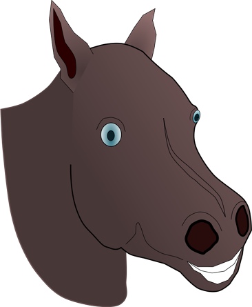 foal_head.jpg