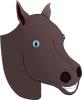 foal_head.jpg