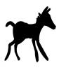 foal_outline.jpg